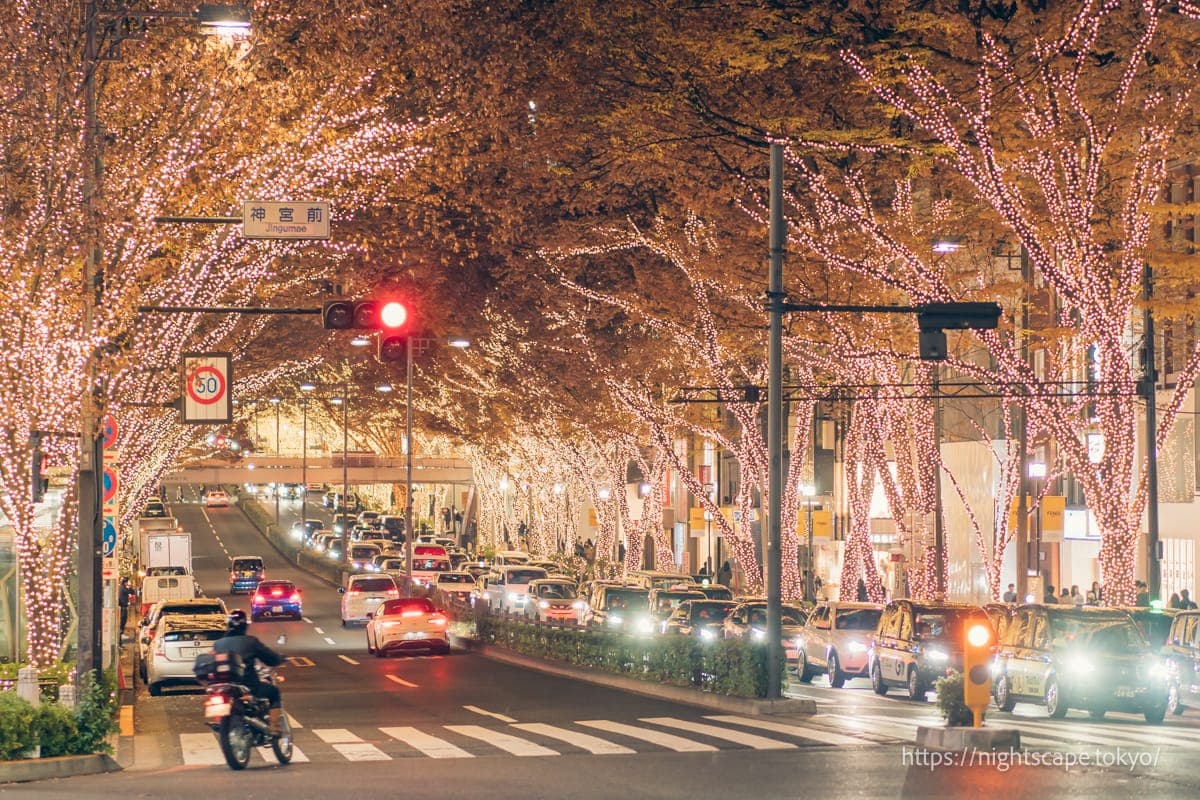 表参道芬迪彩灯展 2025の夜景