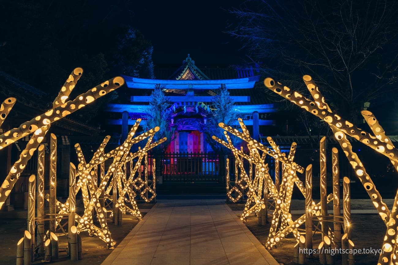 墨田区立隅田公园举办的灯饰活动现场