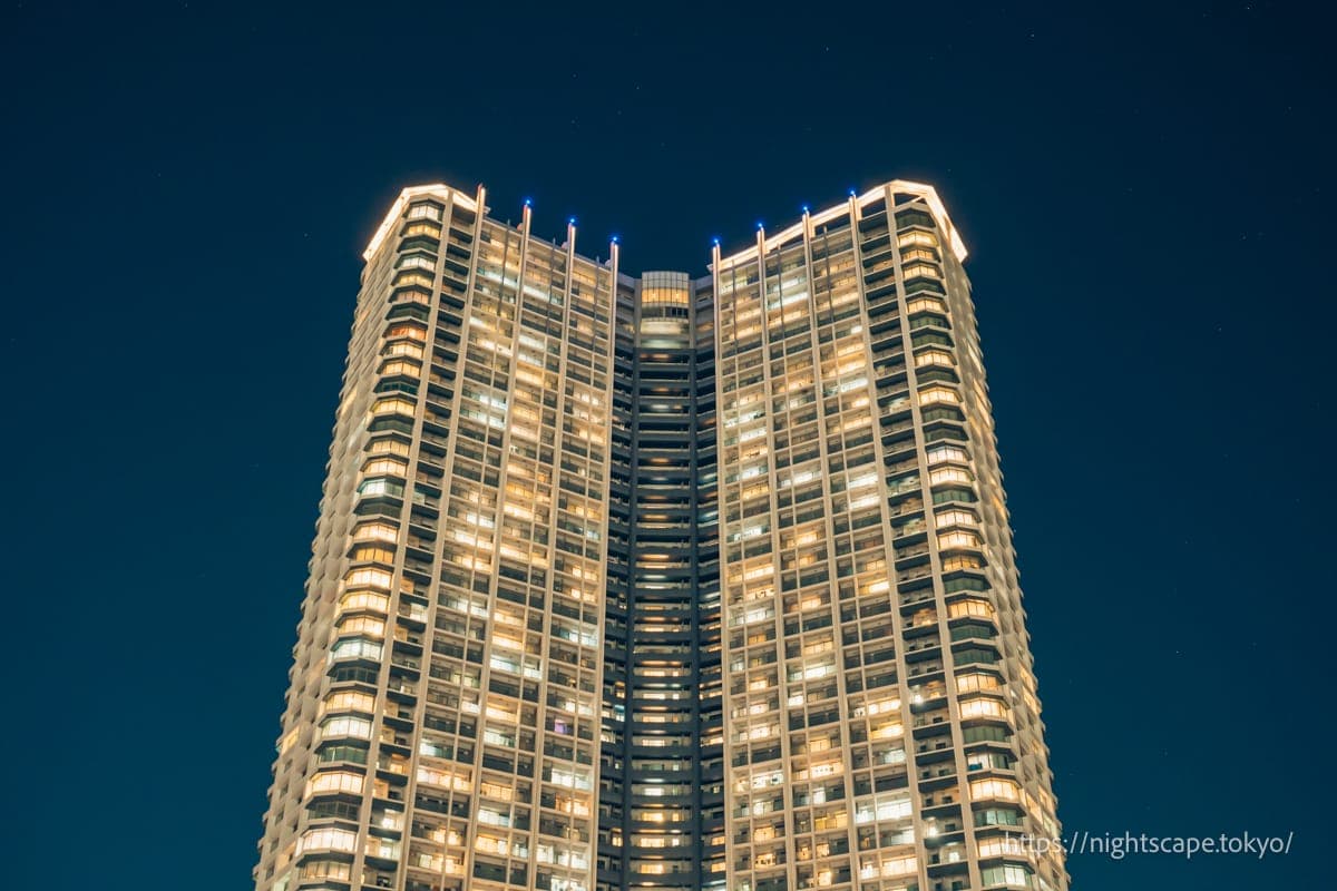 仰望Sky Tower & Garden