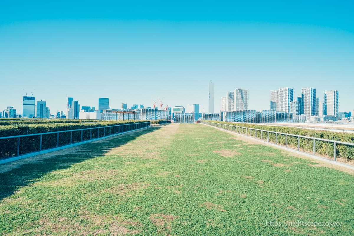 绿意盎然的丰洲市场屋顶广场