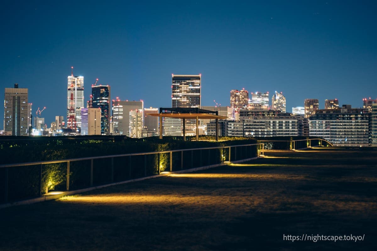 氛围良好的绿化广场配有适度明亮的步道灯