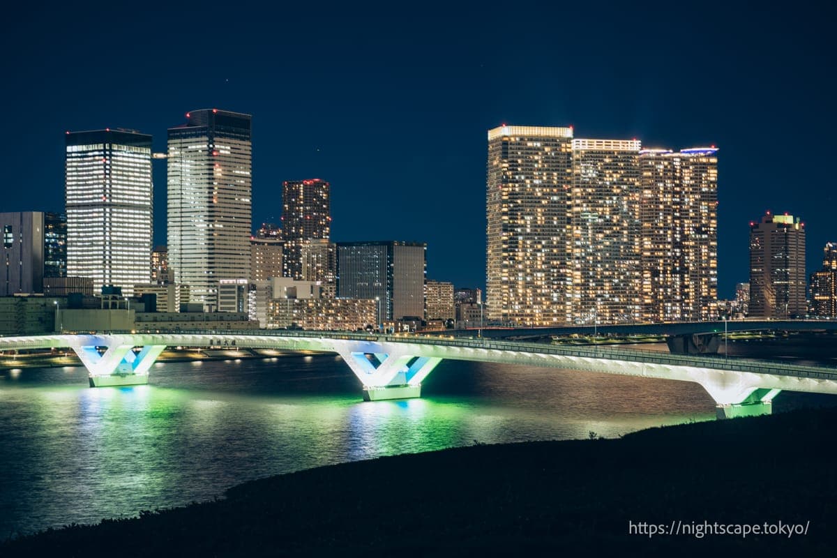 亮灯的丰洲大桥