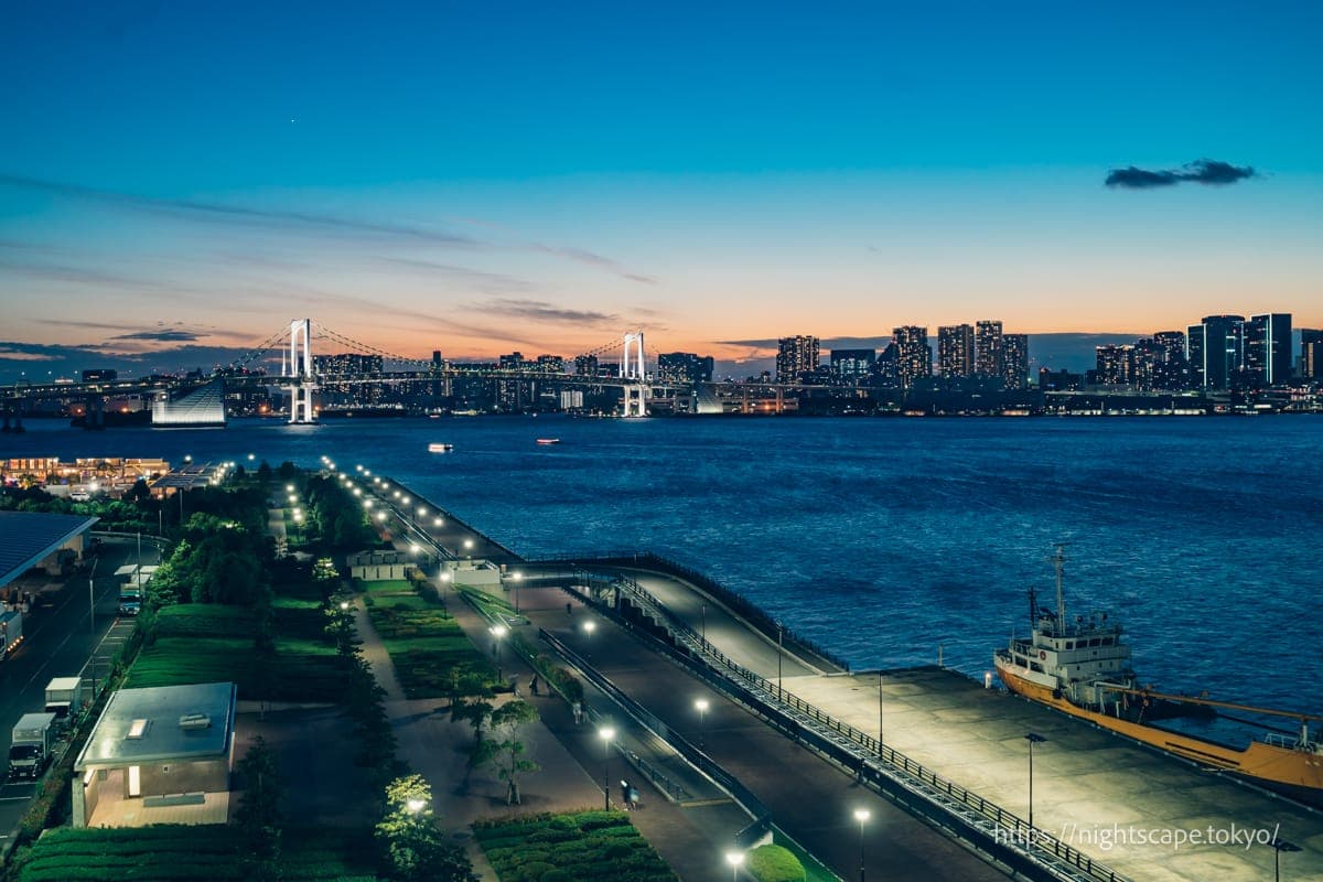 從豐洲市場屋頂綠化廣場眺望的夜景