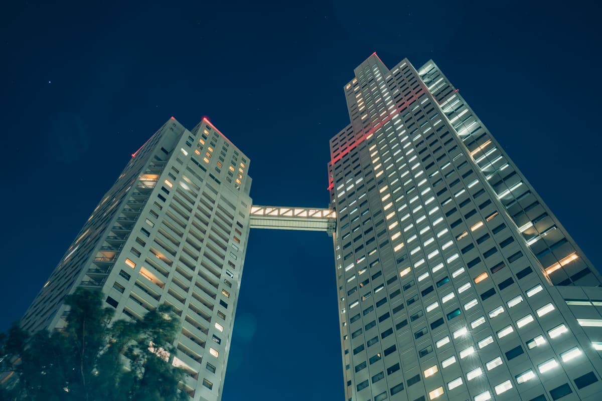 仰望圣路加花园