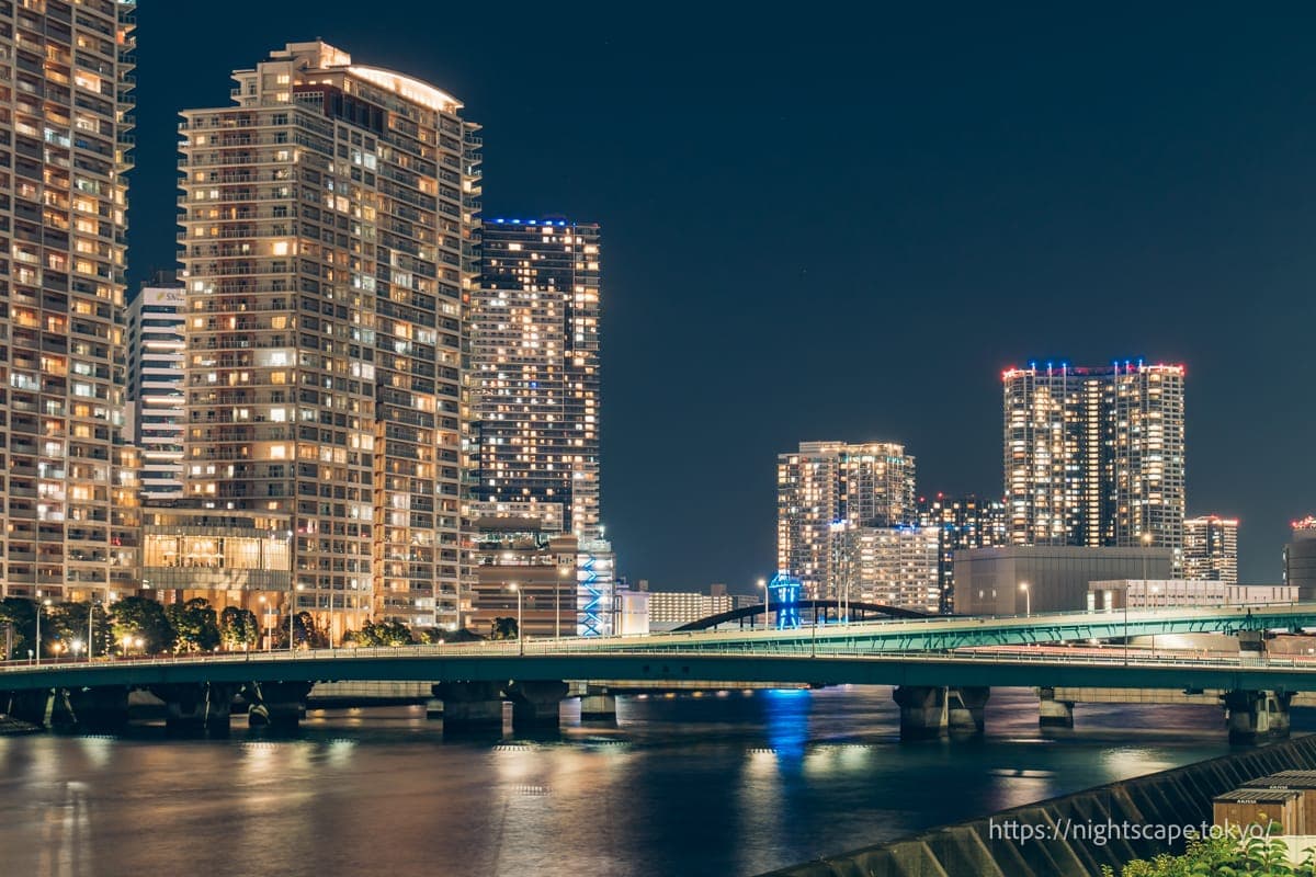 丰洲方向的夜景