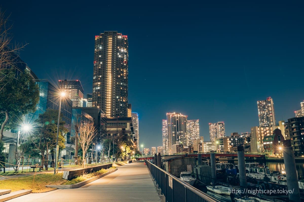 从朝潮运河亲水公园眺望的夜景