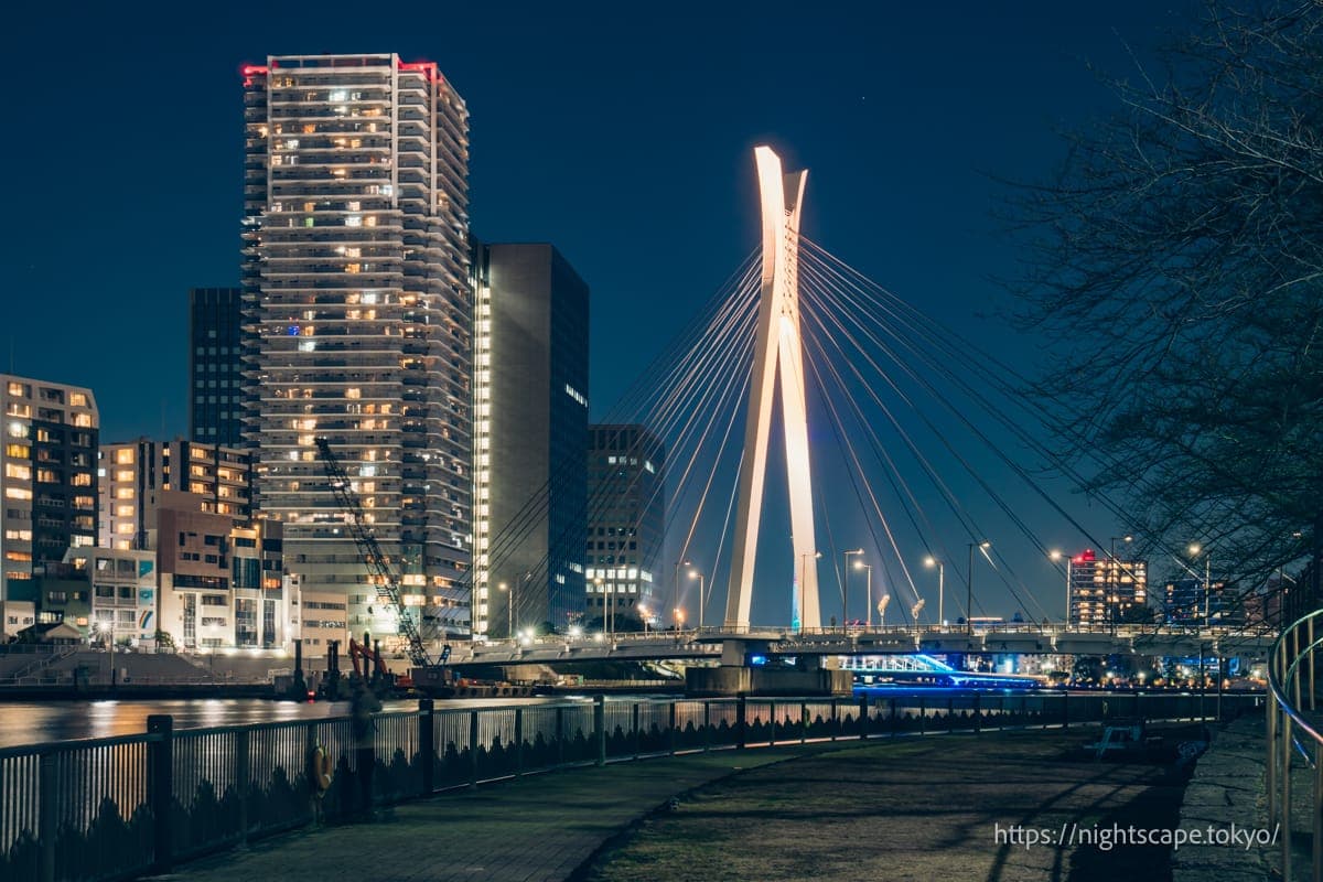 從中央大橋眺望的夜景
