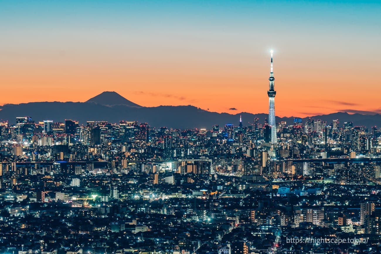 愛琳可城展望台夜景