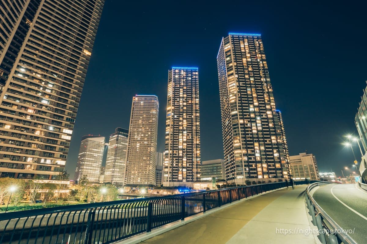 黎明大桥的夜景