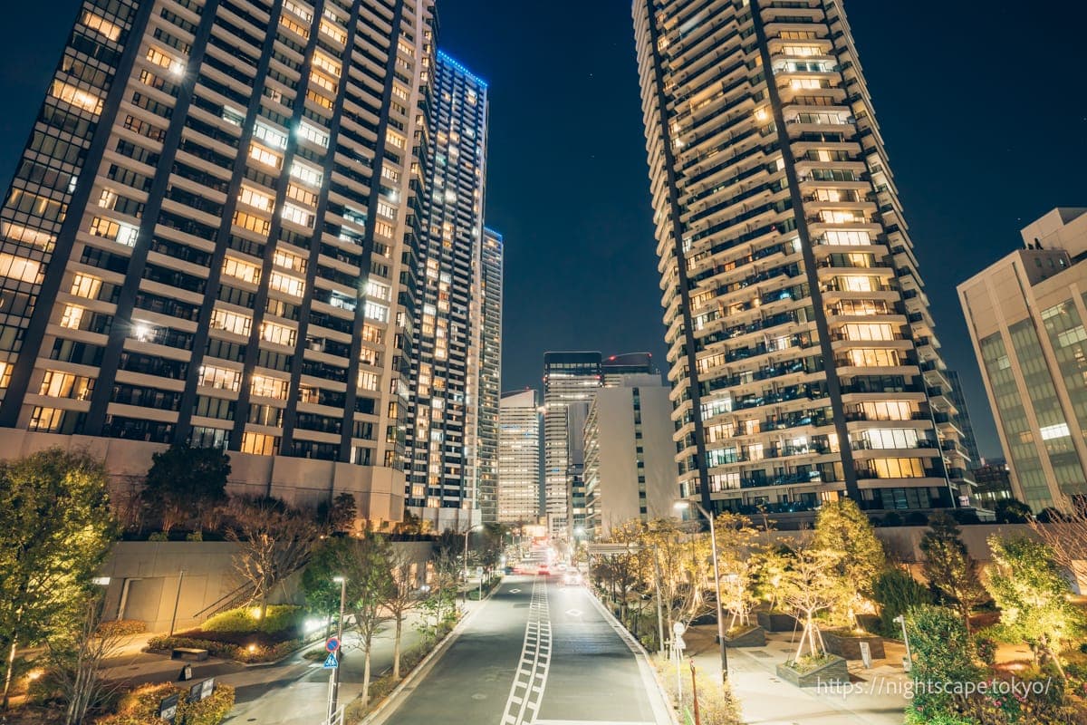 黎明桥公园大道的夜景