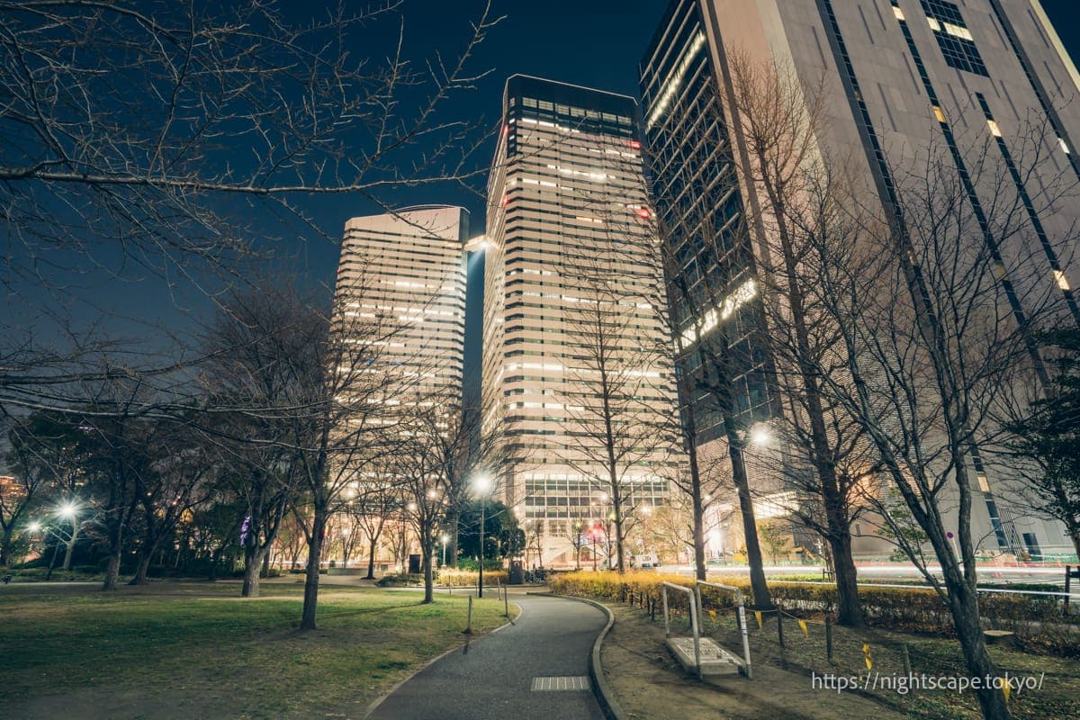 黎明桥公园的夜景