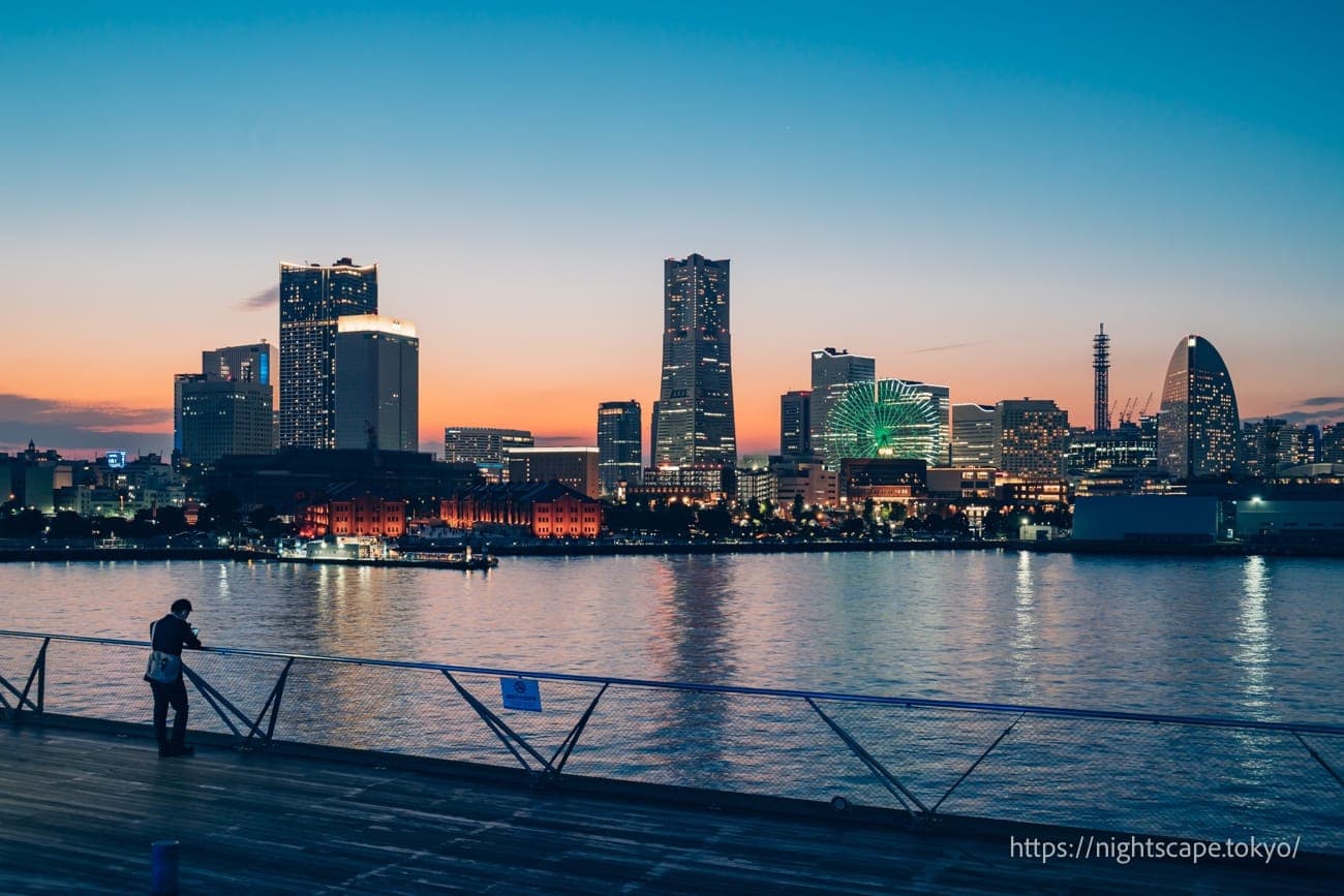 從大棧橋國際客船碼頭眺望的夜景