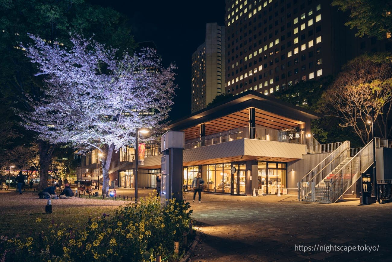 新宿中央公園的氛圍