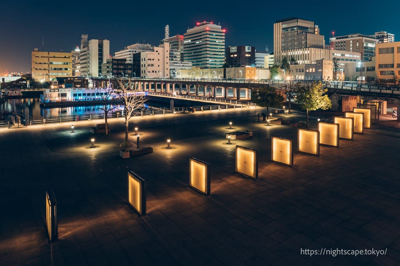 象鼻公园的夜景