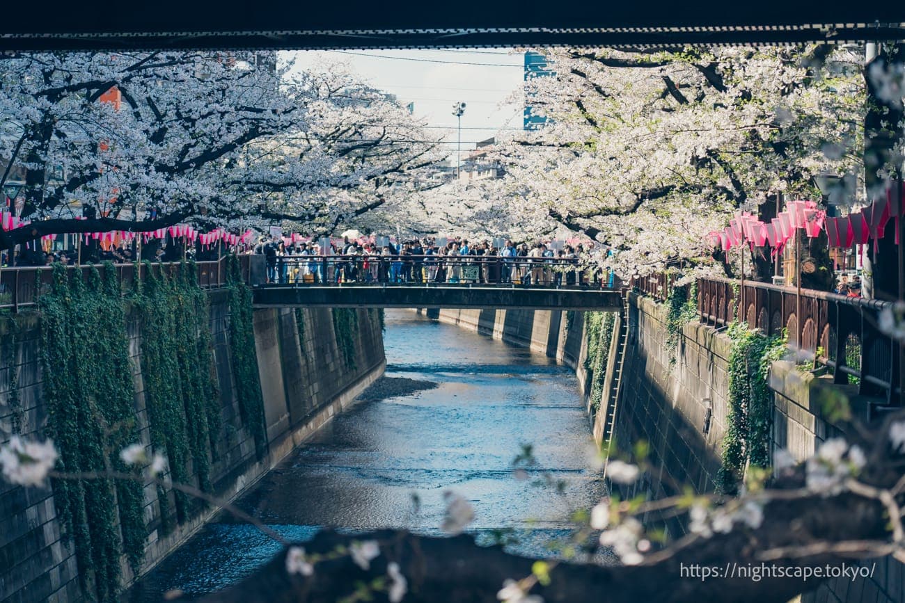 横跨目黑川的别所桥