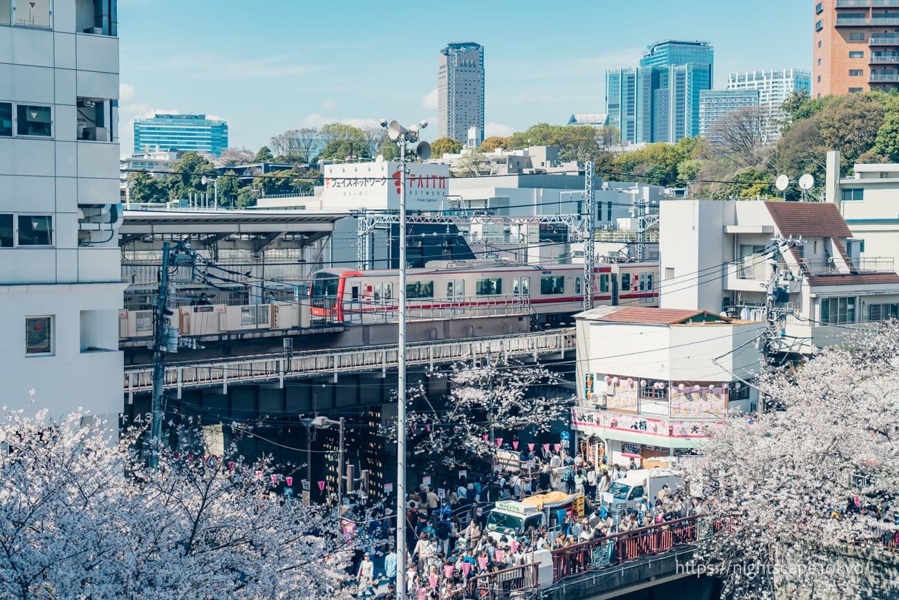 中目黑站与目黑川的樱花
