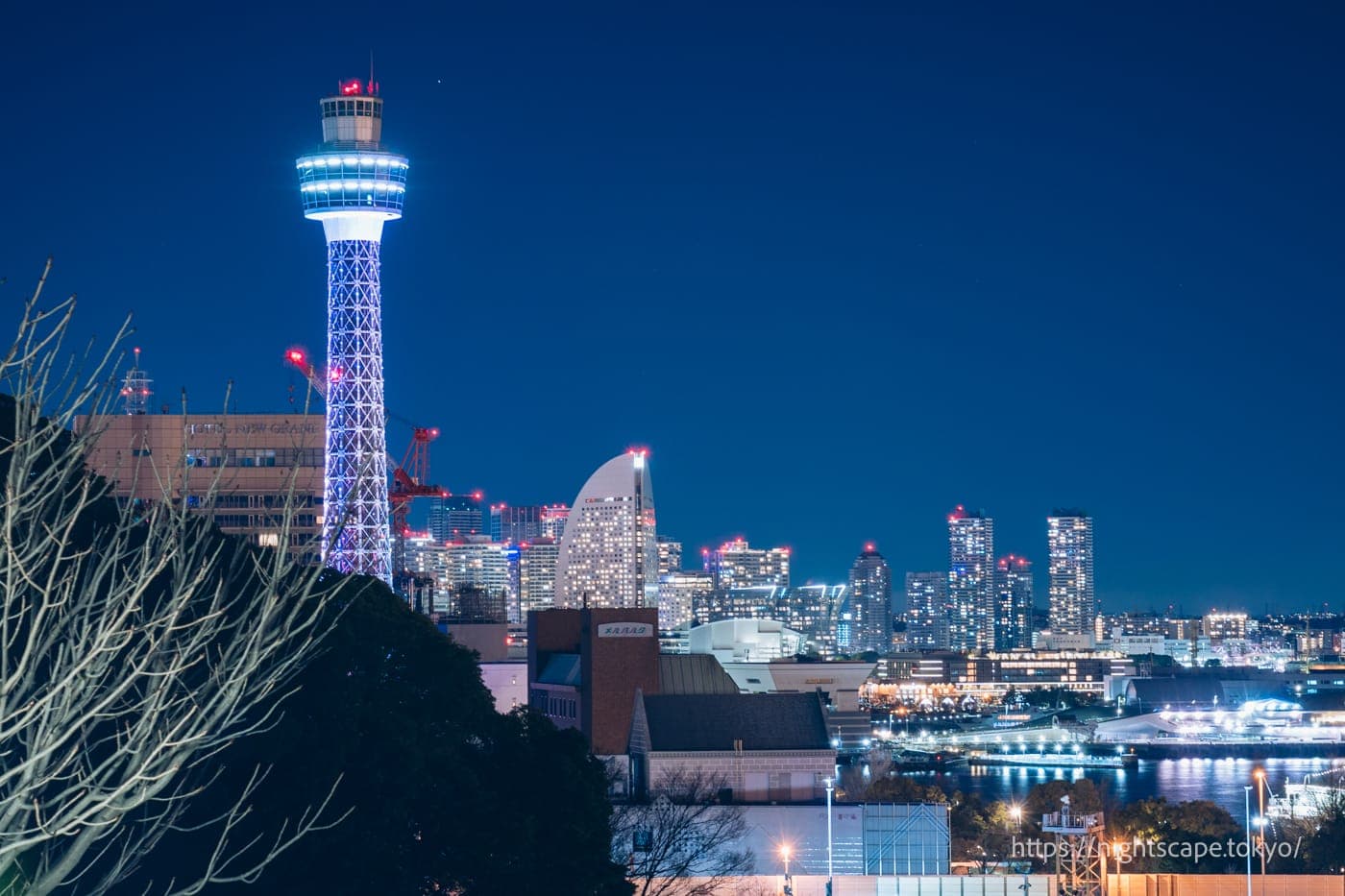 夜景照明的横滨地标大厦