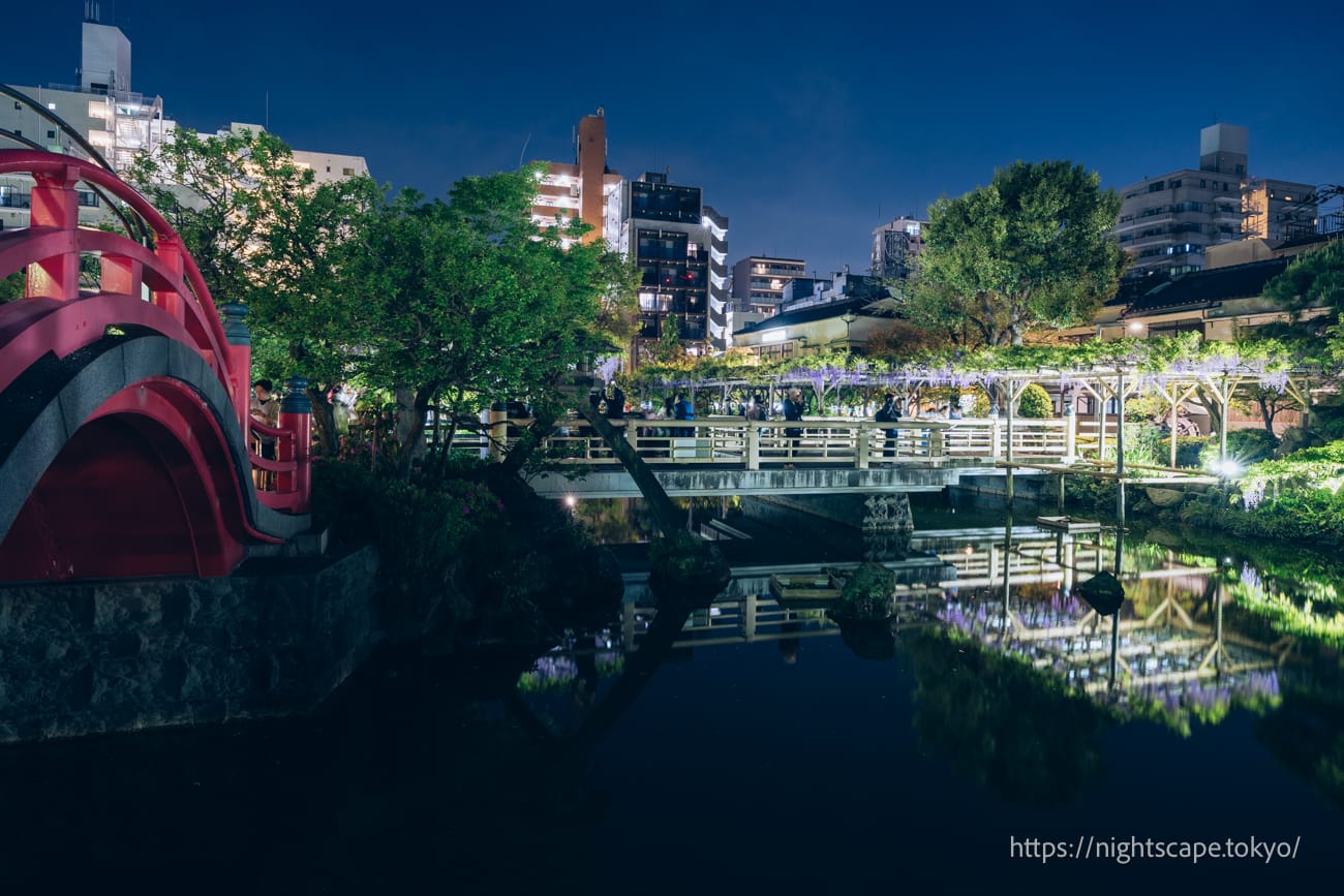 太鼓桥与紫藤花架的水中倒影