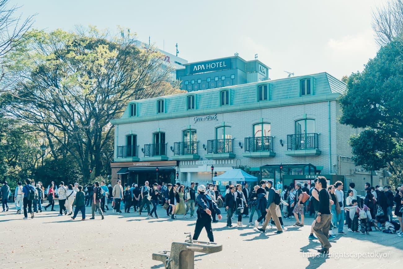 上野公园的绿色公园