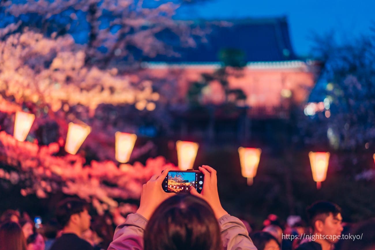 灯光照亮的清水观音堂