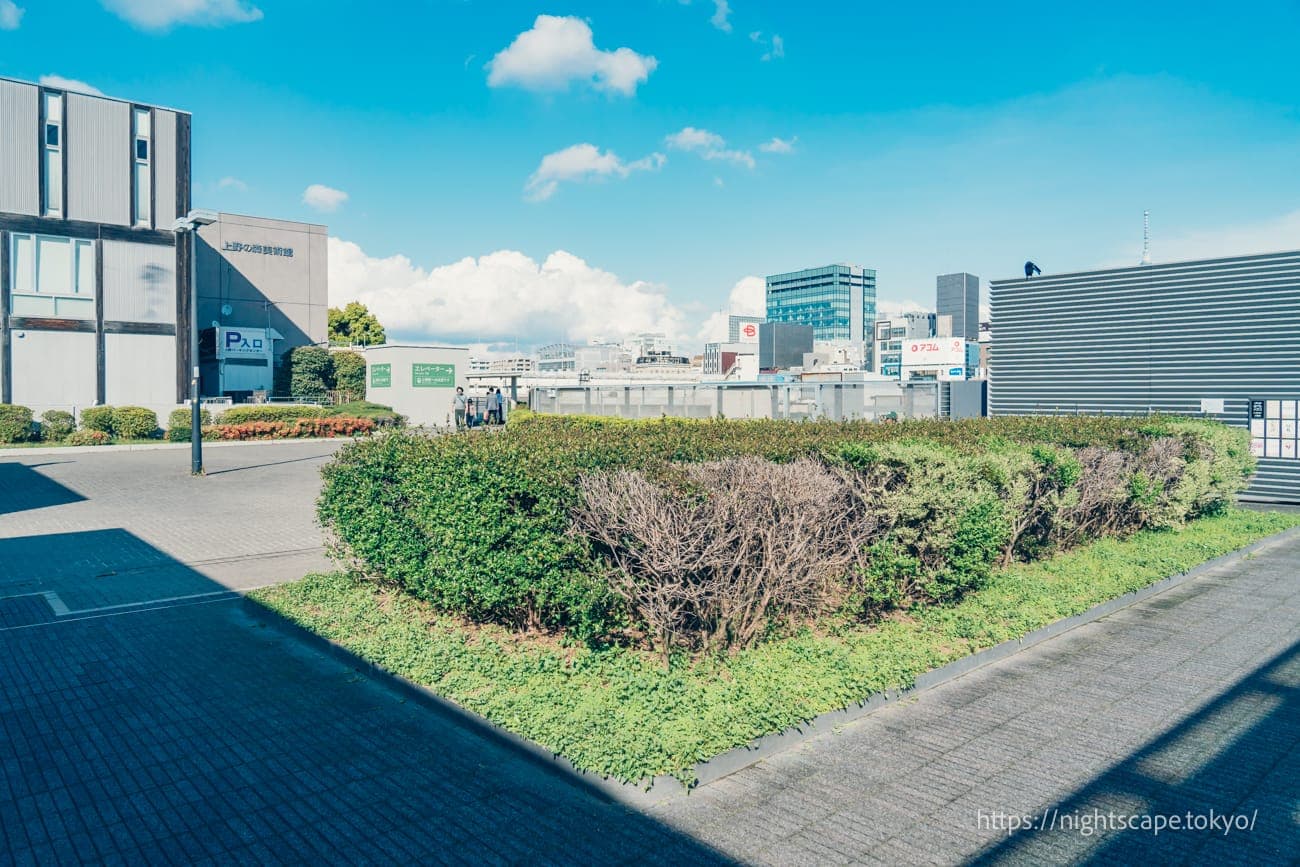 上野之森樱花露台的氛围