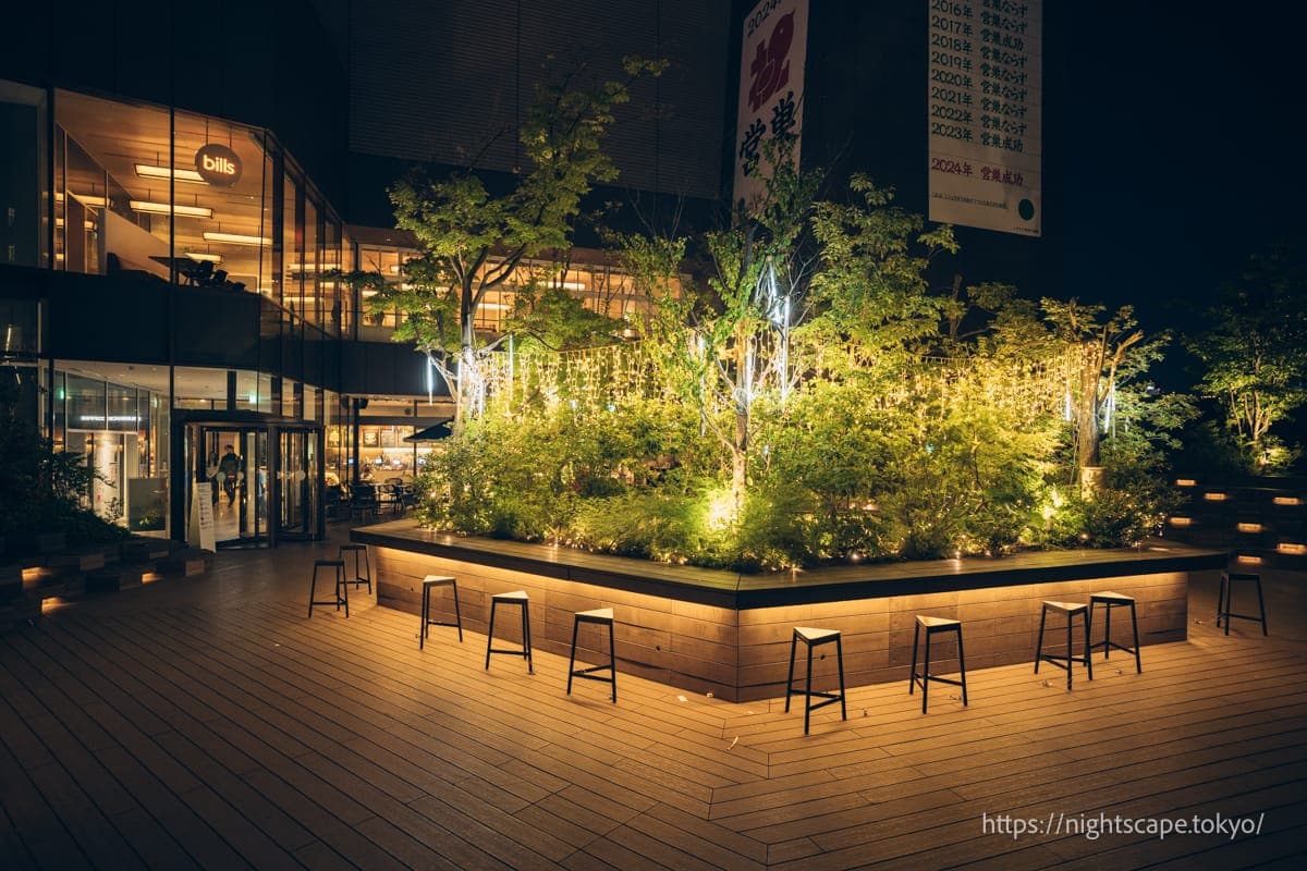 东急广场表参道 表参道之森的氛围