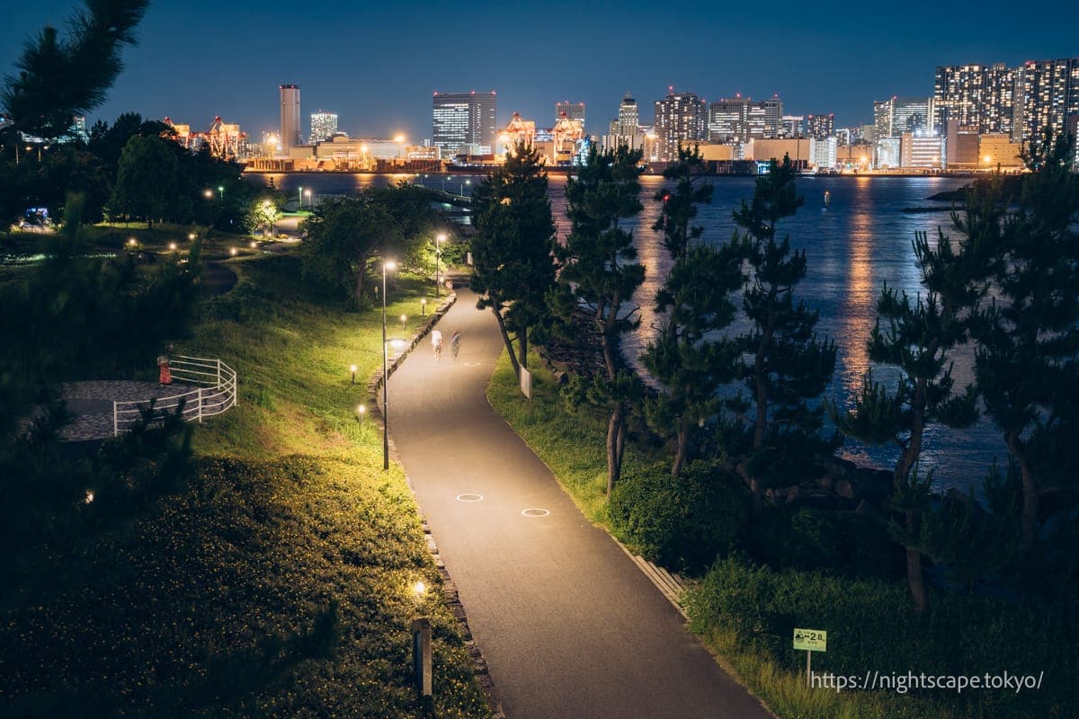 夜晚的台场海滨公园氛围