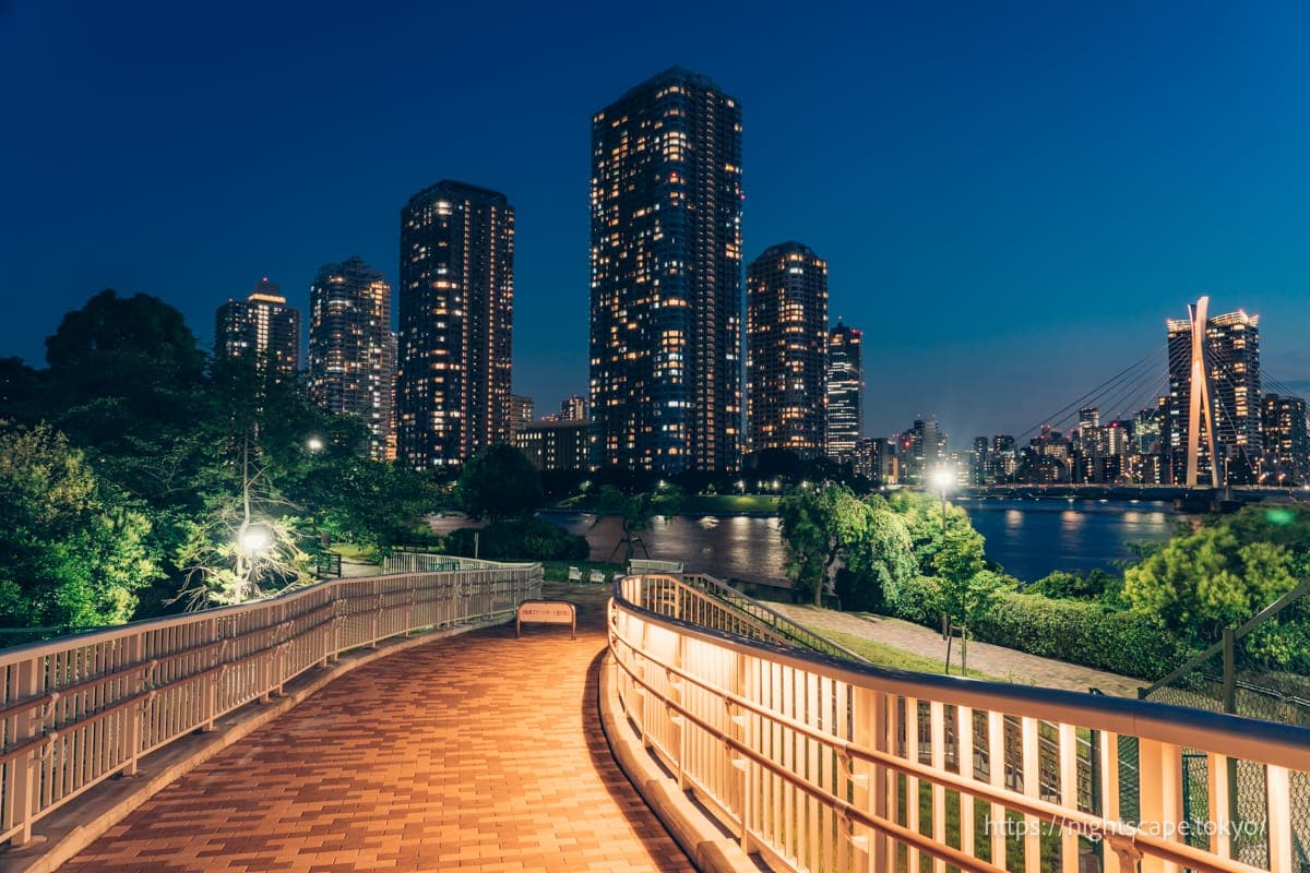 从越中岛公园眺望河城21