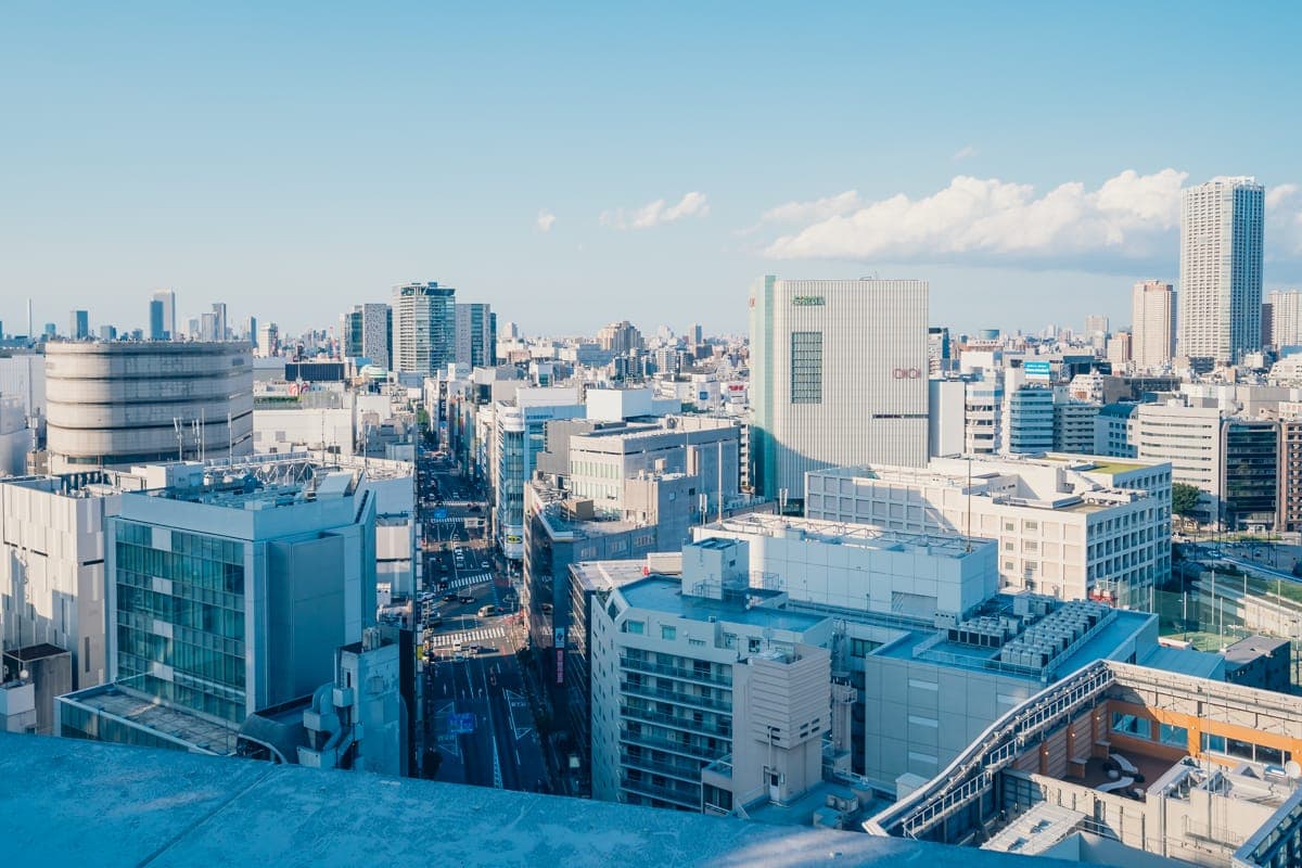 白色花园的景色