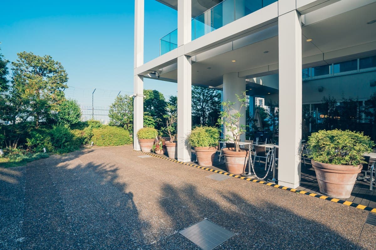 绿意盎然的屋顶庭园