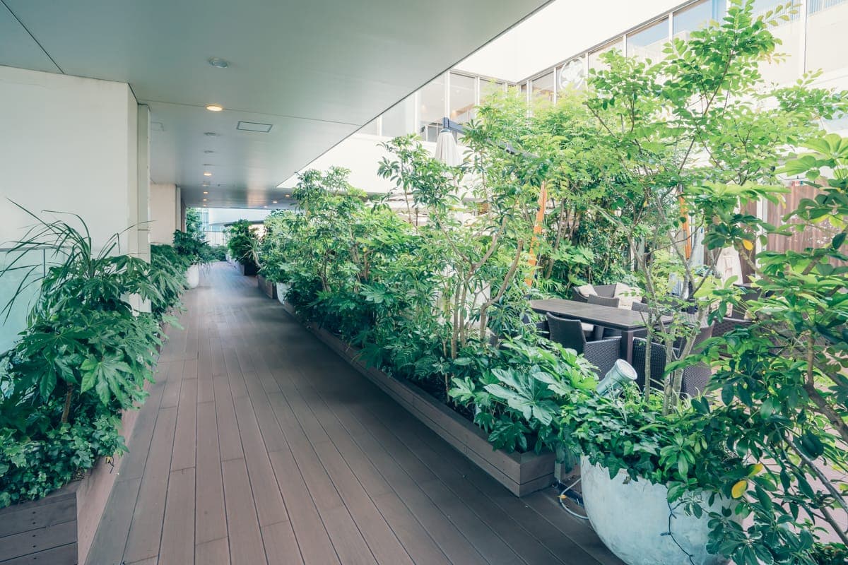 绿意盎然的屋顶庭园