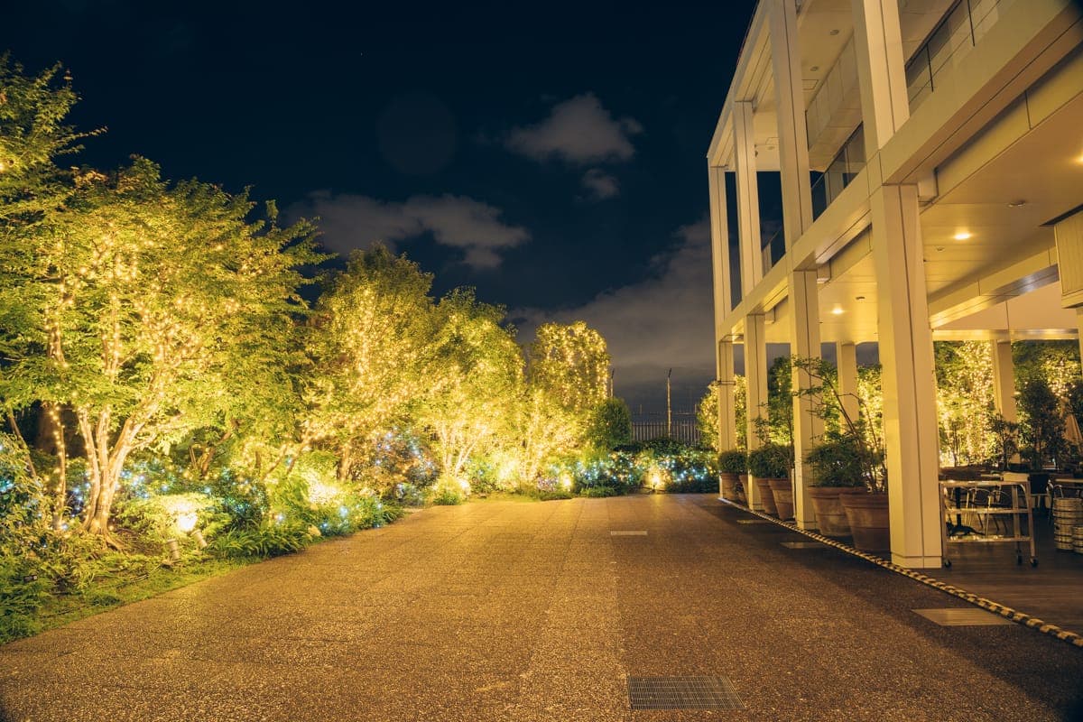 彩灯照亮的庭园内美丽氛围