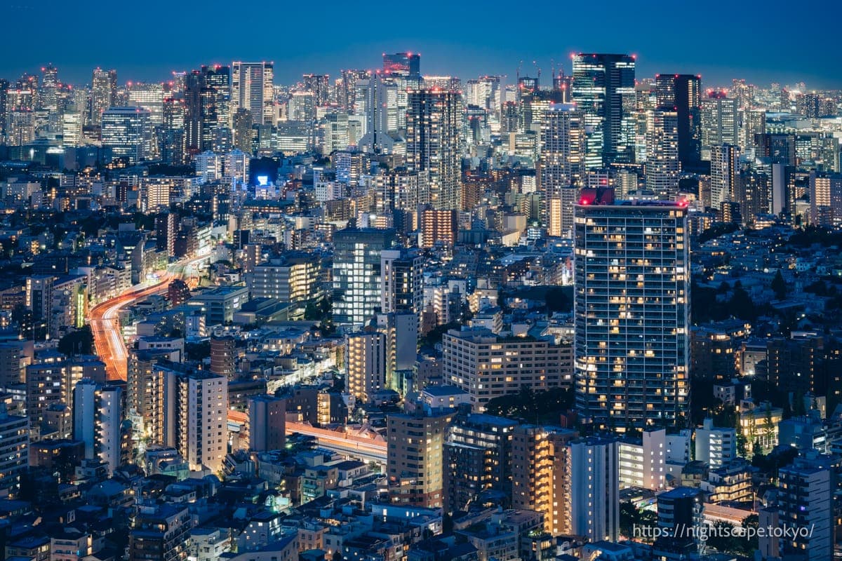 首都高速公路和惠比寿周边街景