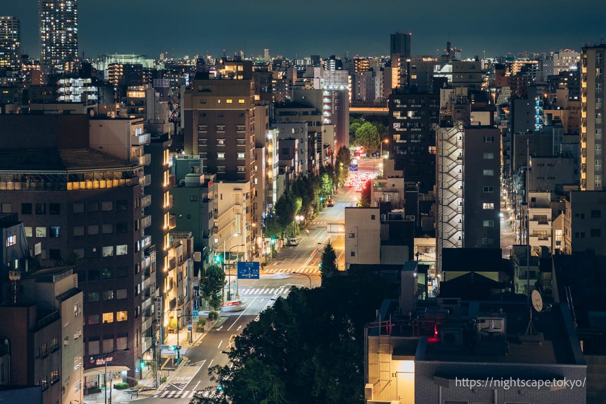 马车道通上来往的车辆