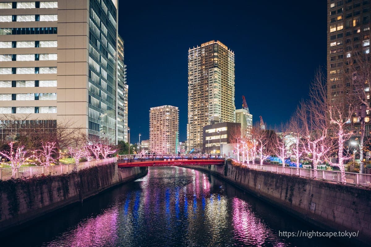 目黑川大家的彩灯装饰2025の夜景