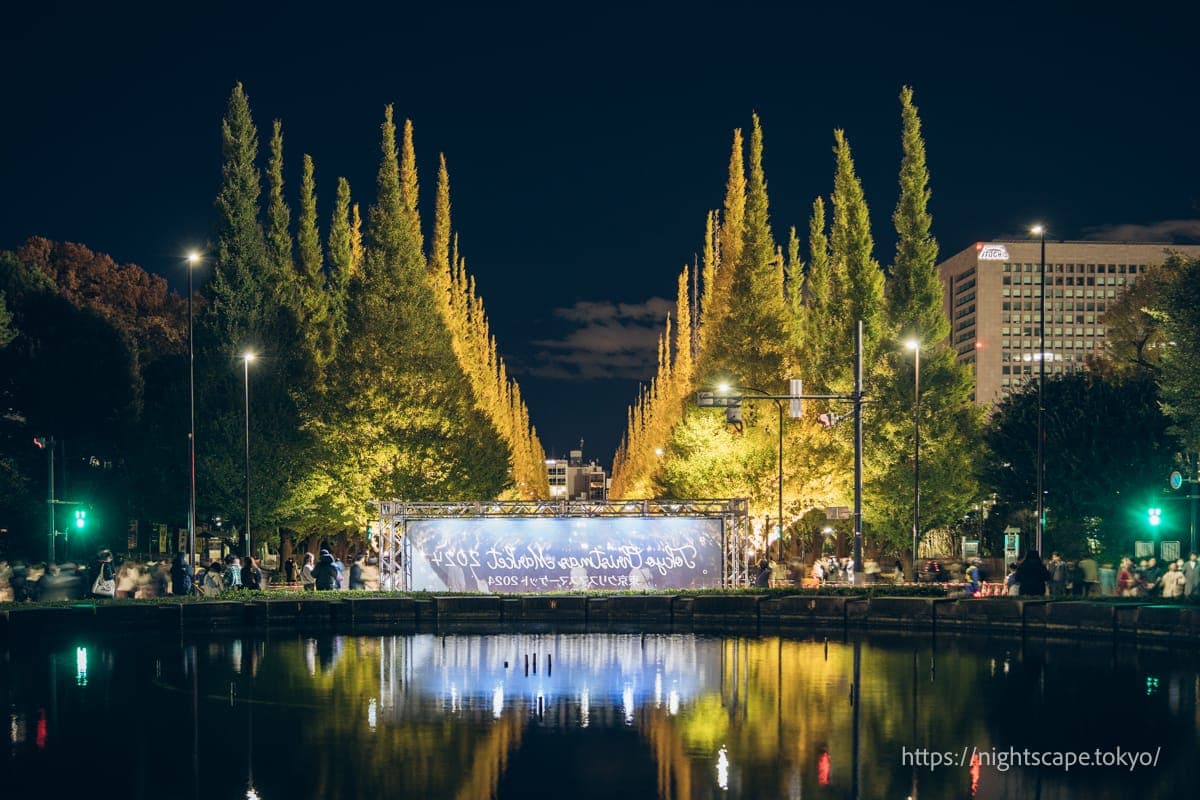 明治神宫外苑银杏大道彩灯 2025の夜景