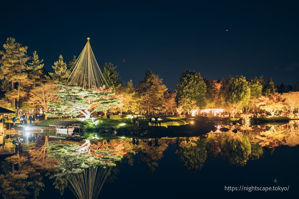 施了雪吊的松树灯光照射景象