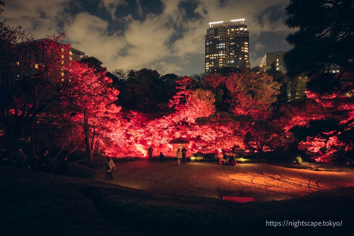 八芳园 TOKYO RED GARDEN 2024の夜景
