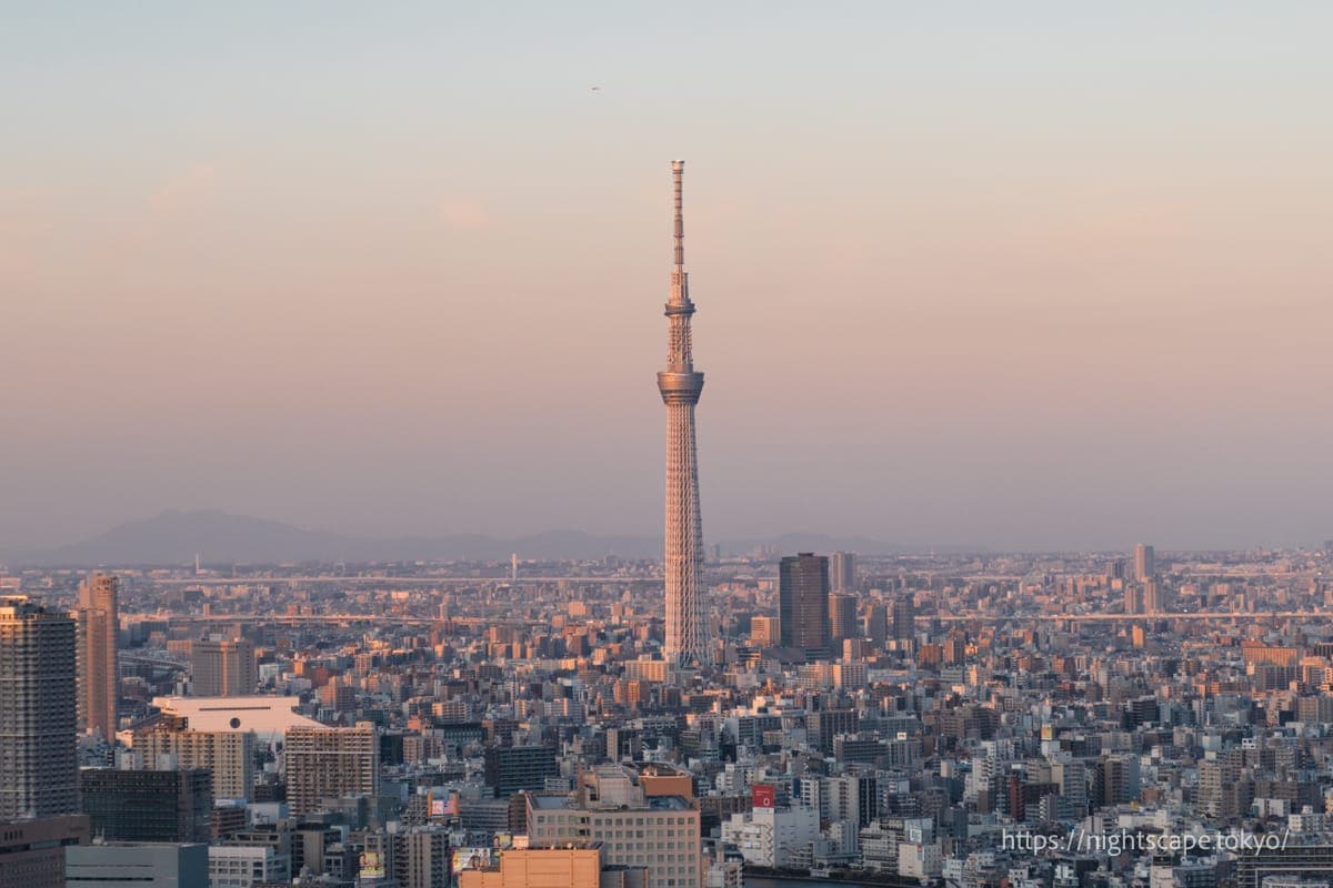 夕陽時分的東京晴空塔