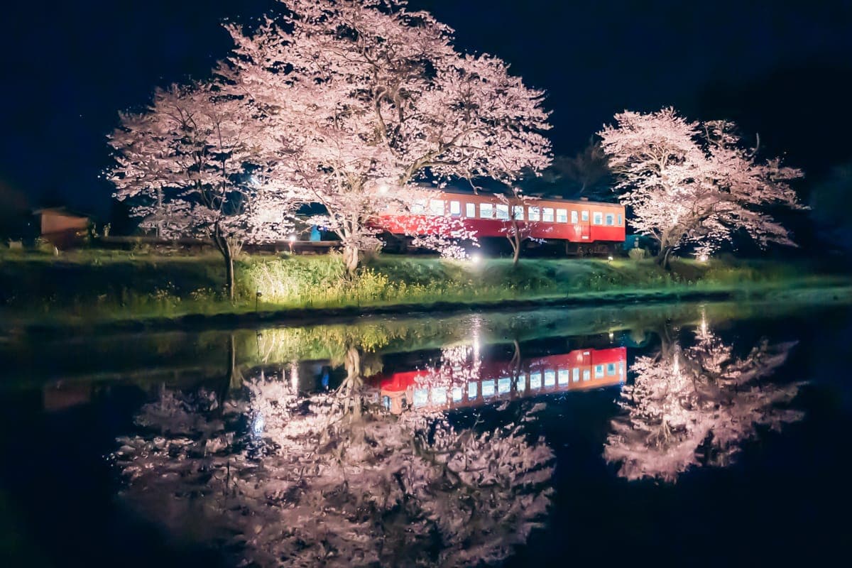小湊鉄道・飯給駅で絶景の夜桜ライトアップとリフレクションを撮ってきた話。