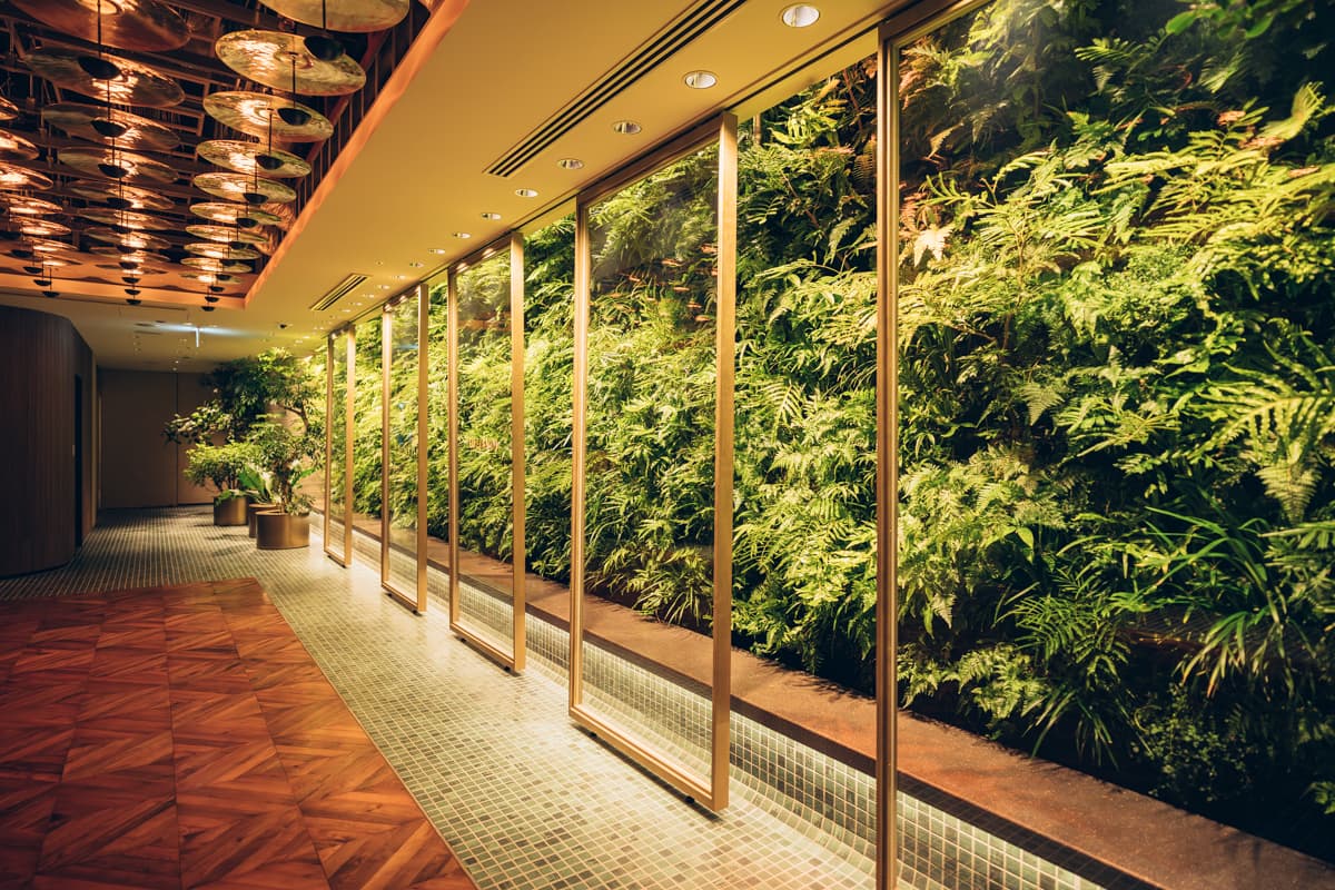 28楼「LUFTBAUM」电梯周边环境