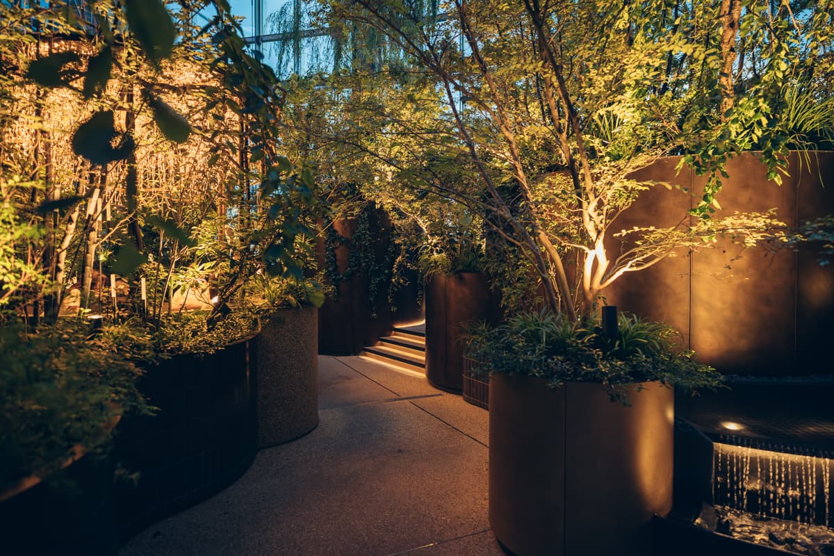 绿意盎然的展望区域LUFTBAUM