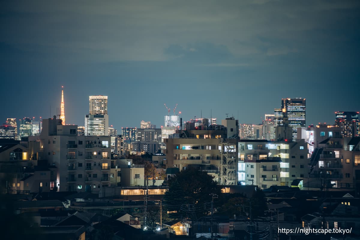 从驹泽公园广场看到的东京塔