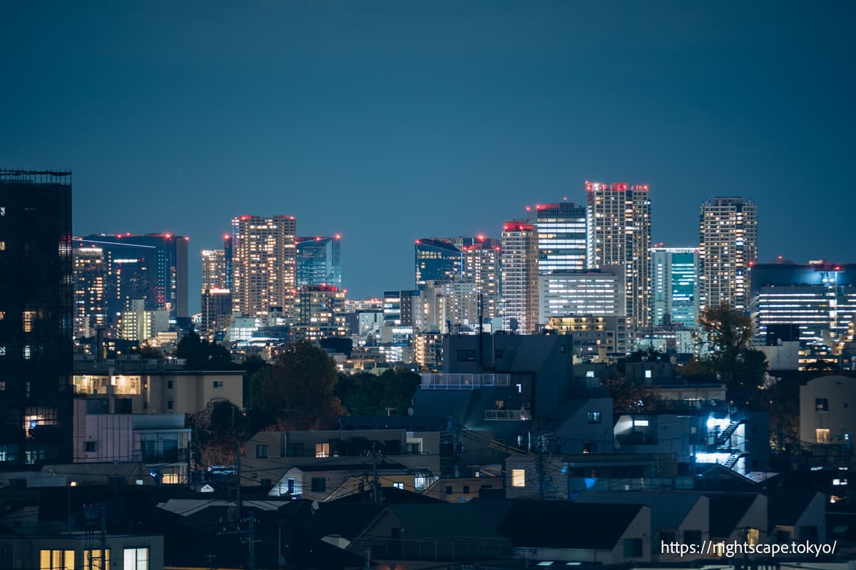 从驹泽公园广场看到的夜景