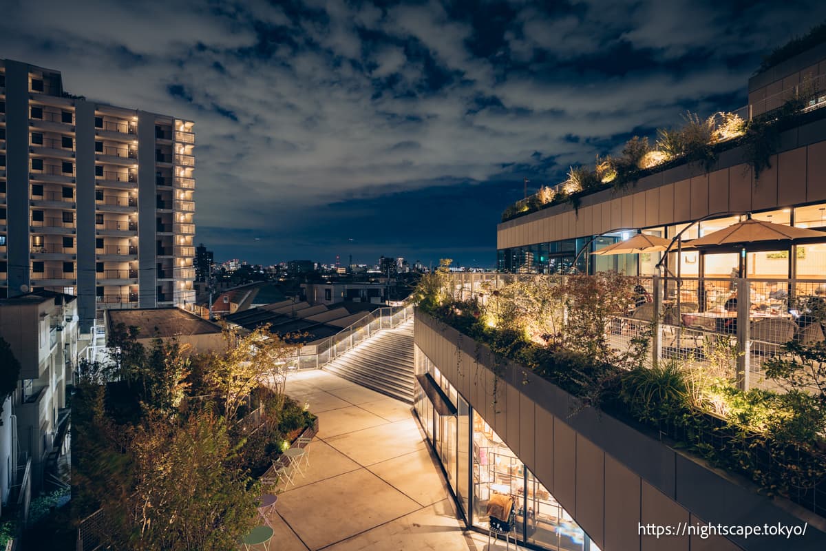 驹泽公园广场的夜景