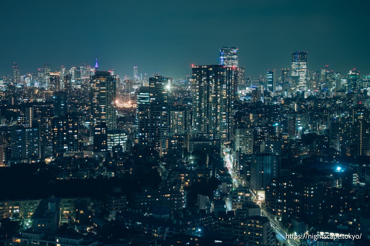 新宿和六本木区域的建筑夜景