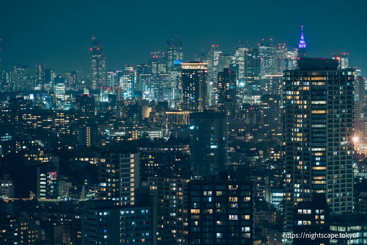 新宿区域的摩天大楼