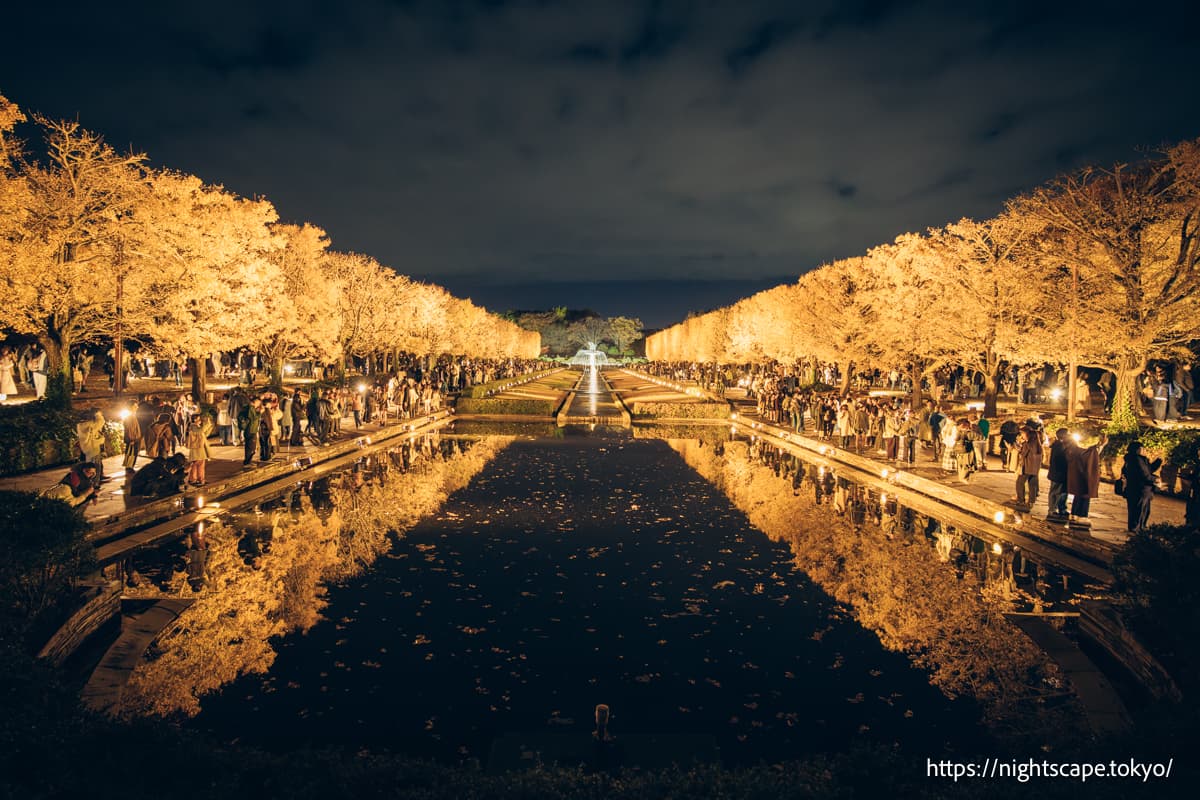 国营昭和纪念公园 秋季夜游 2025の夜景