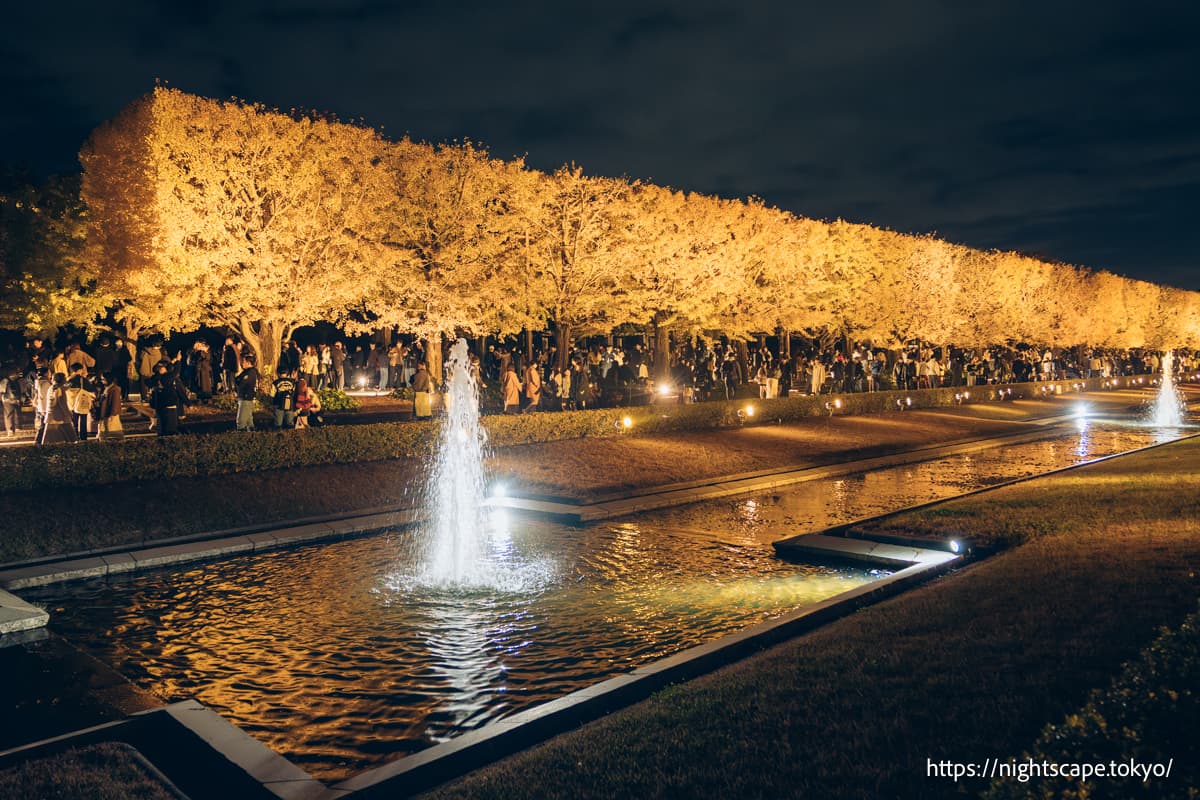 黄叶景点「运河」的夜景