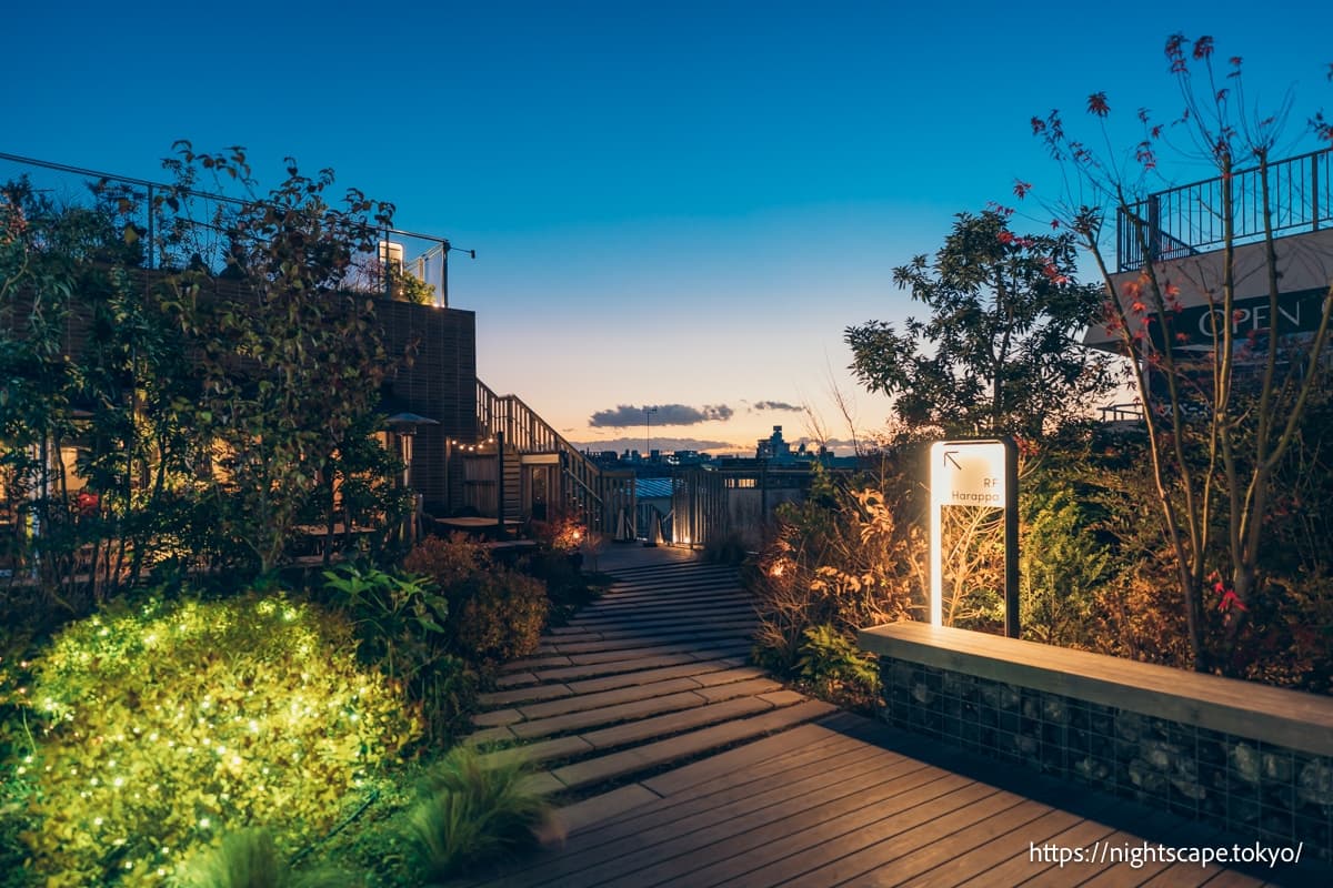 印象深刻的柏木木制露台